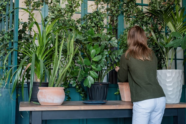 Mujer joven cuidando las plantas en casa